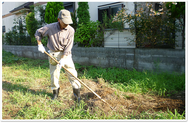 除草作業