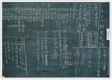 自然環境の豊かさ、抜群の学校